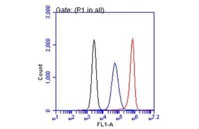 Flow Cytometry: CA19-9/Sialyl Lewis A Antibody (GT933) [NBP3-13650]