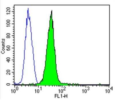Flow Cytometry: CACNA1S Antibody (1A) - BSA Free [NB300-542]