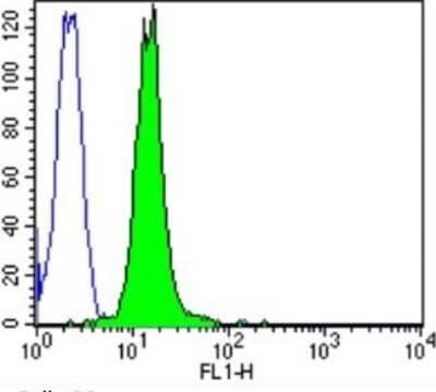 Flow Cytometry: CACNA2D1 Antibody (20A) [NB120-2864]