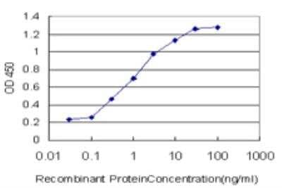 ELISA: CACNB2 Antibody (5B6) [H00000783-M03]