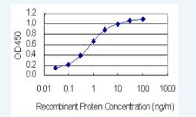 ELISA: CACNB4 Antibody (7E1) [H00000785-M01-100ug]
