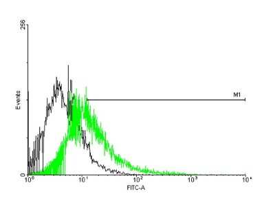 Flow Cytometry: CACNG1 Antibody [H00000786-B01P]