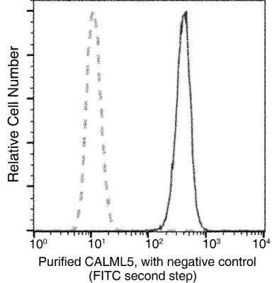 Flow Cytometry: CALML5 Antibody (158) [NBP2-89982]