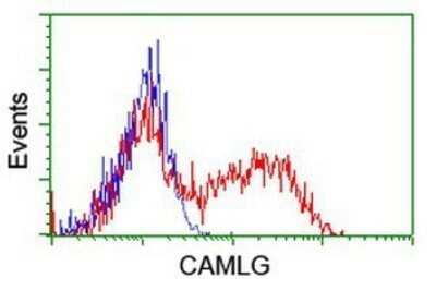 Flow Cytometry: CAMLG Antibody (OTI1A3) - Azide and BSA Free [NBP2-70331]