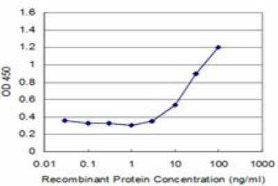 ELISA: CART1 Antibody (2A10) [H00008092-M02]