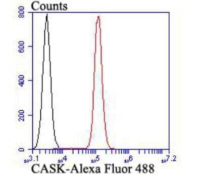 Flow Cytometry: CASK Antibody [NBP2-76922]
