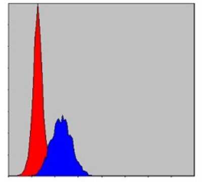 Flow Cytometry: CBL Antibody (3B12) - BSA Free [NBP2-37574]