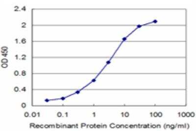 ELISA: CBS Antibody (5F7) [H00000875-M07]