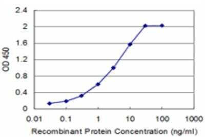 ELISA: CBS Antibody (6A9) [H00000875-M06]