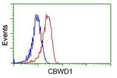 Flow Cytometry: CBWD1 Antibody (OTI4D4) [NBP2-02931]