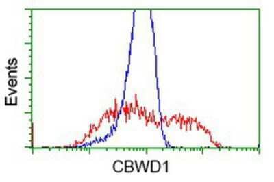 Flow Cytometry: CBWD1 Antibody (OTI4D4) [NBP2-02931]