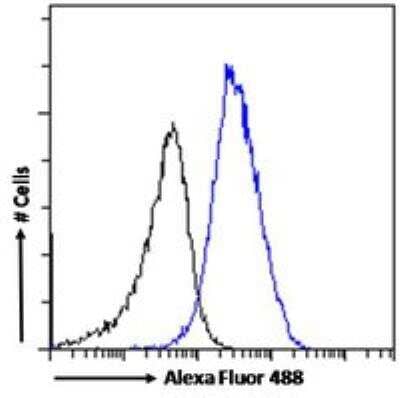 Flow Cytometry: CBX3 Antibody [NB100-2418]