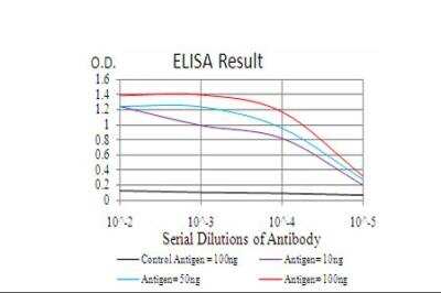 ELISA: CBX4 Antibody (6C5G3) - BSA Free [NBP2-52432]