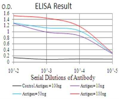 ELISA: CBX6 Antibody (8D10A3) - BSA Free [NBP2-52435]