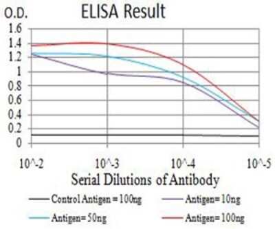 ELISA: CBX7 Antibody (3H9D7) - BSA Free [NBP2-61724]