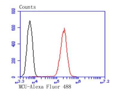 Flow Cytometry: CCDC109A Antibody [NBP2-76948]