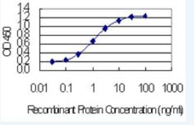 ELISA: CCDC12 Antibody (7B1) [H00151903-M05-100ug]