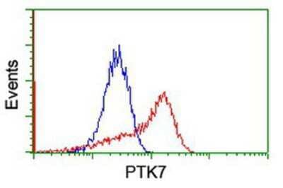 Flow Cytometry: PTK7/CCK4 Antibody (OTI2E7) [NBP2-01486]