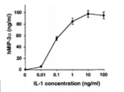 ELISA: CCL20/MIP-3 alpha Antibody (319F6.06) [DDX0430P-100]
