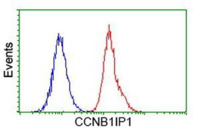 Flow Cytometry: CCNB1IP1 Antibody (OTI4H3) [NBP2-00600]