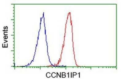 Flow Cytometry: CCNB1IP1 Antibody (OTI4H3) [NBP2-00600]