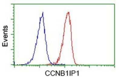 Flow Cytometry: CCNB1IP1 Antibody (OTI4H3) - Azide and BSA Free [NBP2-72106]