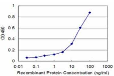 ELISA: CCNK Antibody (S1) [H00008812-M03]