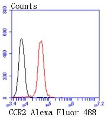 Flow Cytometry: CCR2 Antibody (SN707) [NBP2-67700]