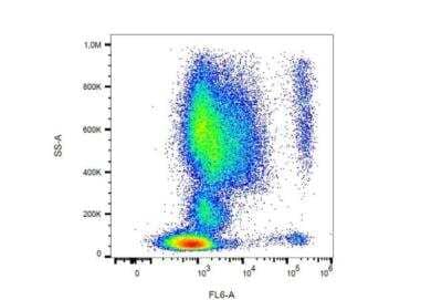 Flow Cytometry: CCR3 Antibody (5E8) - BSA Free [NBP3-09149]