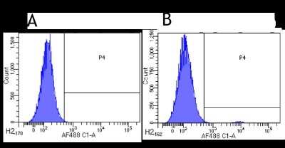 Flow Cytometry: CCR3 Antibody (5E8-G9-B4) - Chimeric - Azide and BSA Free [NBP2-81046]