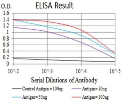 ELISA: CCR3 Antibody (8E9H10) - BSA Free [NBP2-61672]