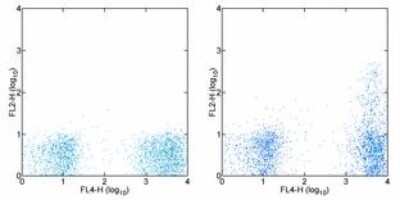 Flow Cytometry: CCR5 Antibody (T21/8) - BSA Free [NBP1-43335]