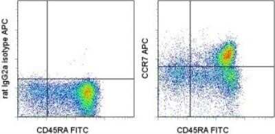 Flow Cytometry: CCR7 Antibody (3D12) - BSA Free [NBP1-43332]