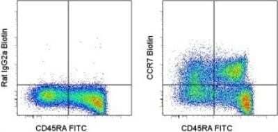 Flow Cytometry: CCR7 Antibody (3D12) - BSA Free [NBP1-43332]