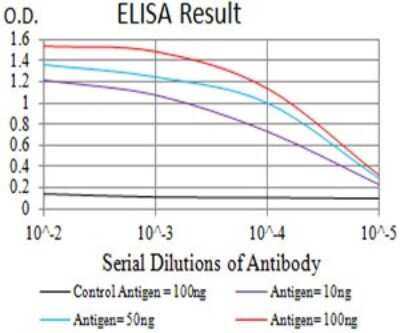 ELISA: CCR7 Antibody (4B7B8) - BSA Free [NBP2-61680]