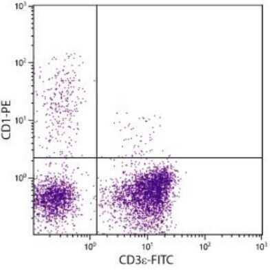 Flow Cytometry: CD1 Antibody (76-7-4) - Azide and BSA Free [NBP1-28221]