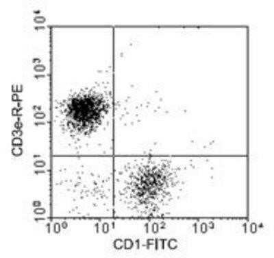 Flow Cytometry: CD1 Antibody (76-7-4) - Azide and BSA Free [NBP1-28221]