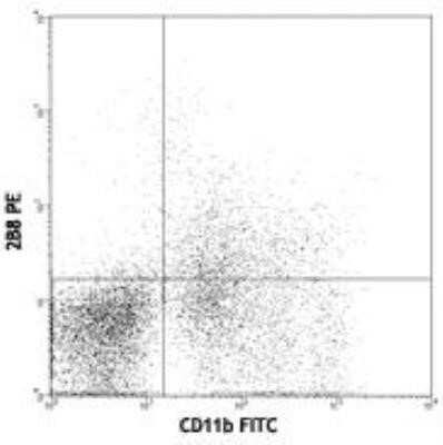 Flow Cytometry: CD117/c-kit Antibody (2B8) - Azide and BSA Free [NBP2-80624]