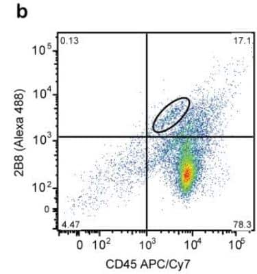 Flow Cytometry: CD117/c-kit Antibody (2B8) - BSA Free [NB100-77477]