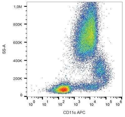 Flow Cytometry: CD11c Antibody (BU15) - BSA Free [NBP1-45018]