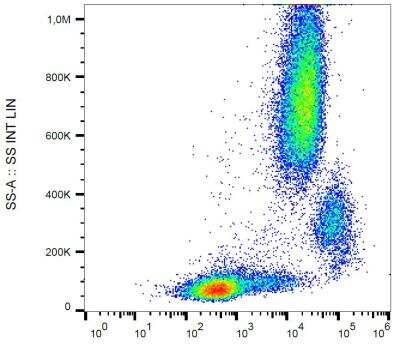 Flow Cytometry: CD11c Antibody (BU15) - BSA Free [NBP1-45018]