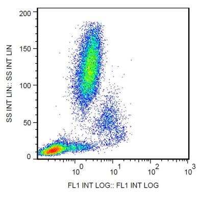 Flow Cytometry: CD11c Antibody (BU15) - BSA Free [NBP1-45018]
