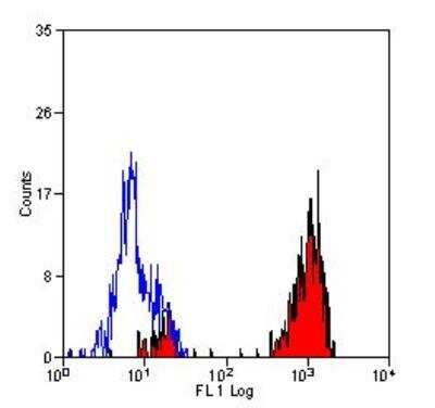 Flow Cytometry: CD14 Antibody (TUK4) - BSA Free [NB100-62994]