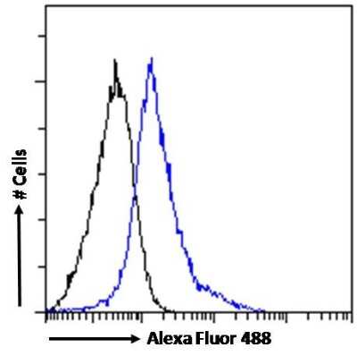 Flow Cytometry: CD14 Antibody [NB100-2807]
