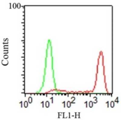Flow Cytometry: CD14 Antibody (RPA-M1) - Azide Free [NBP2-27215]