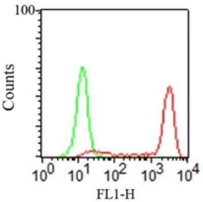 Flow Cytometry: CD14 Antibody (RPA-M1) [NBP2-25194]