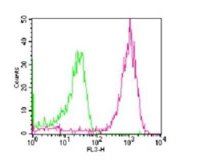 Flow Cytometry: CD14 Antibody (RPA-M1) [NBP2-25194]
