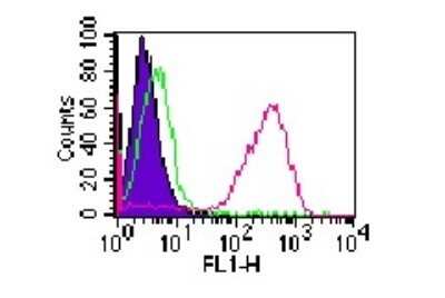 Flow Cytometry: CD14 Antibody (RPA-M1) [NBP2-25194]
