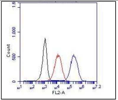 Flow Cytometry: CD14 Antibody (Sa14-2) [NBP1-51121]