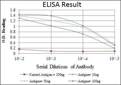 ELISA: SSEA-1 Antibody (4E10) - BSA Free [NBP2-22179]